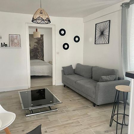 Joli Appart Cour Proche Bord De Loire بلْوا المظهر الخارجي الصورة