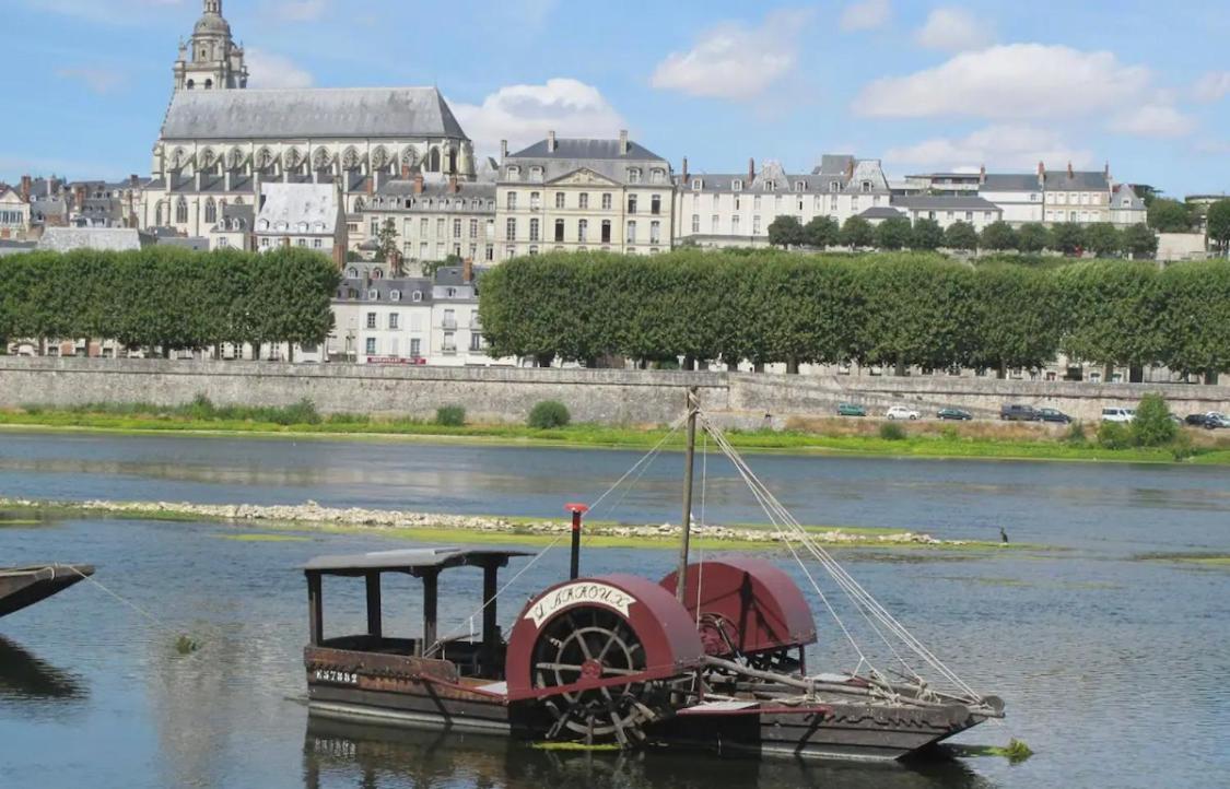 Joli Appart Cour Proche Bord De Loire بلْوا المظهر الخارجي الصورة